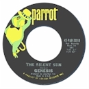 Silent Sun USA Stock